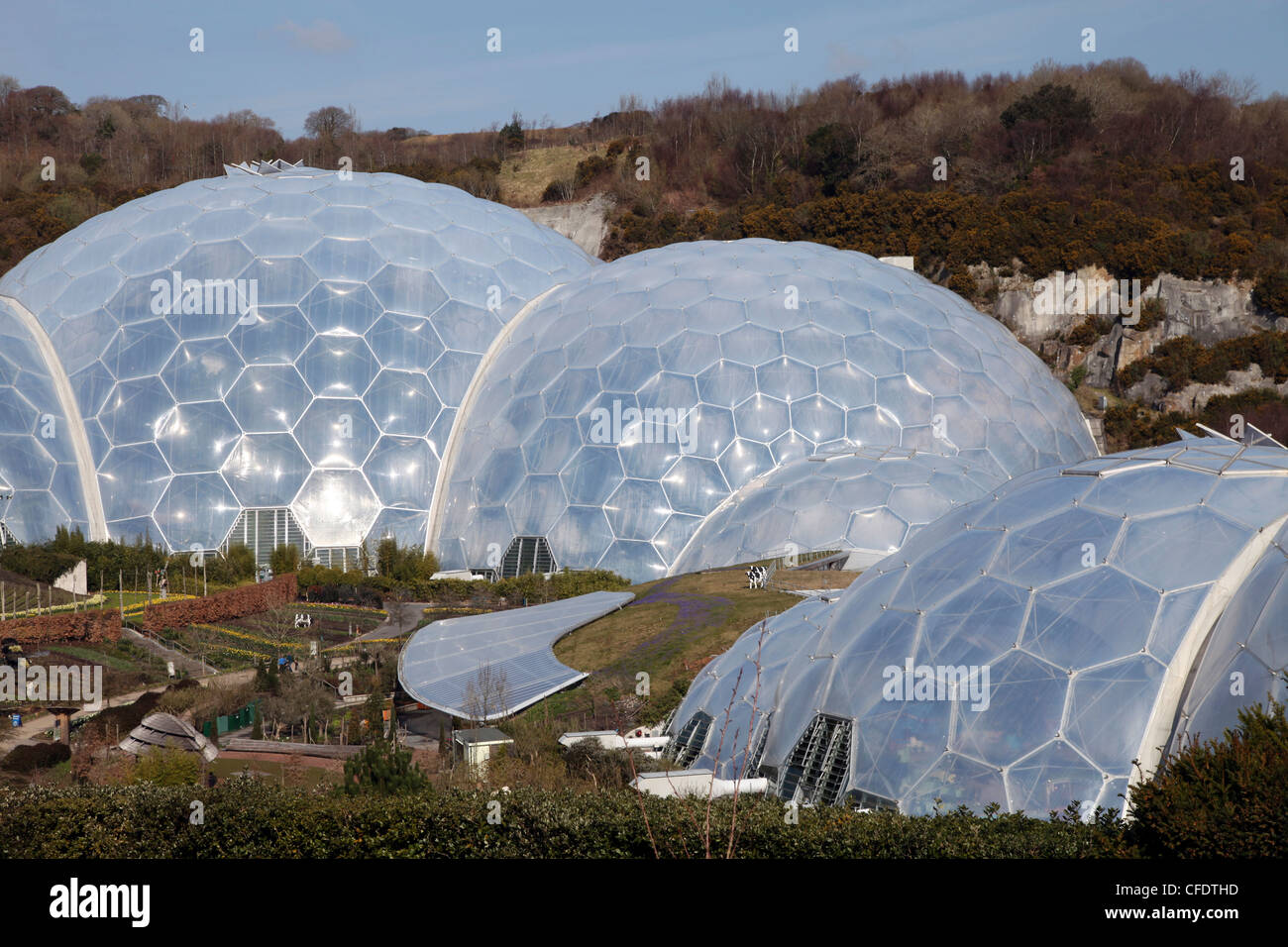 Biomes at Eden Project, St. Austell, Cornwall, England, United Kingdom, Europe Stock Photo