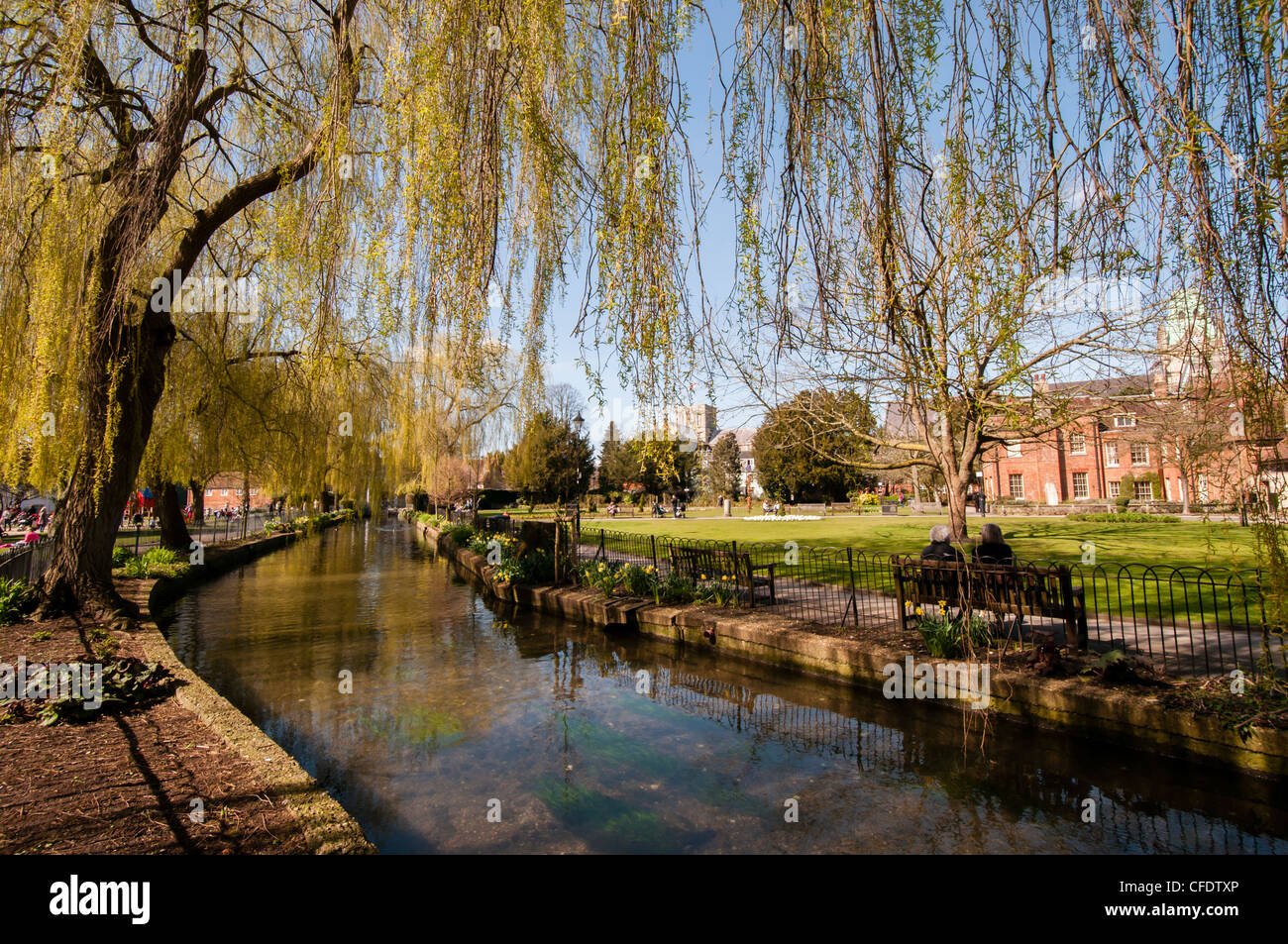 Abbey Gardens and mill stream in Winchester, Hampshire with the