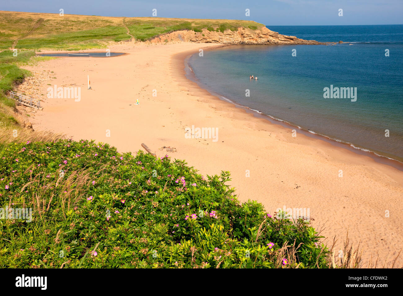 Whale Cove Beach, Cape Breton, Nova Scotia, Canada Stock Photo Alamy