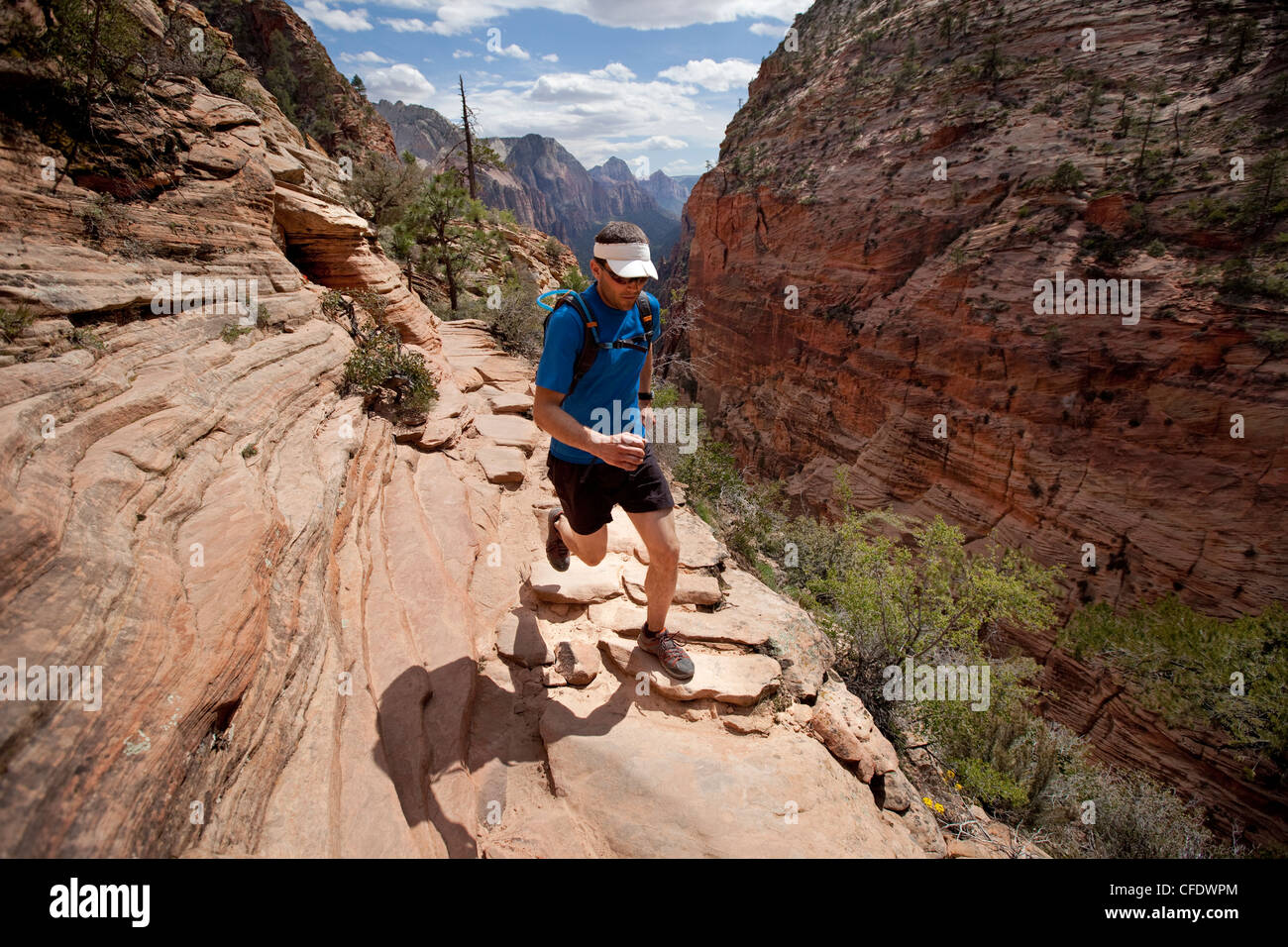 Man trail running in Zion Stock Photo Alamy