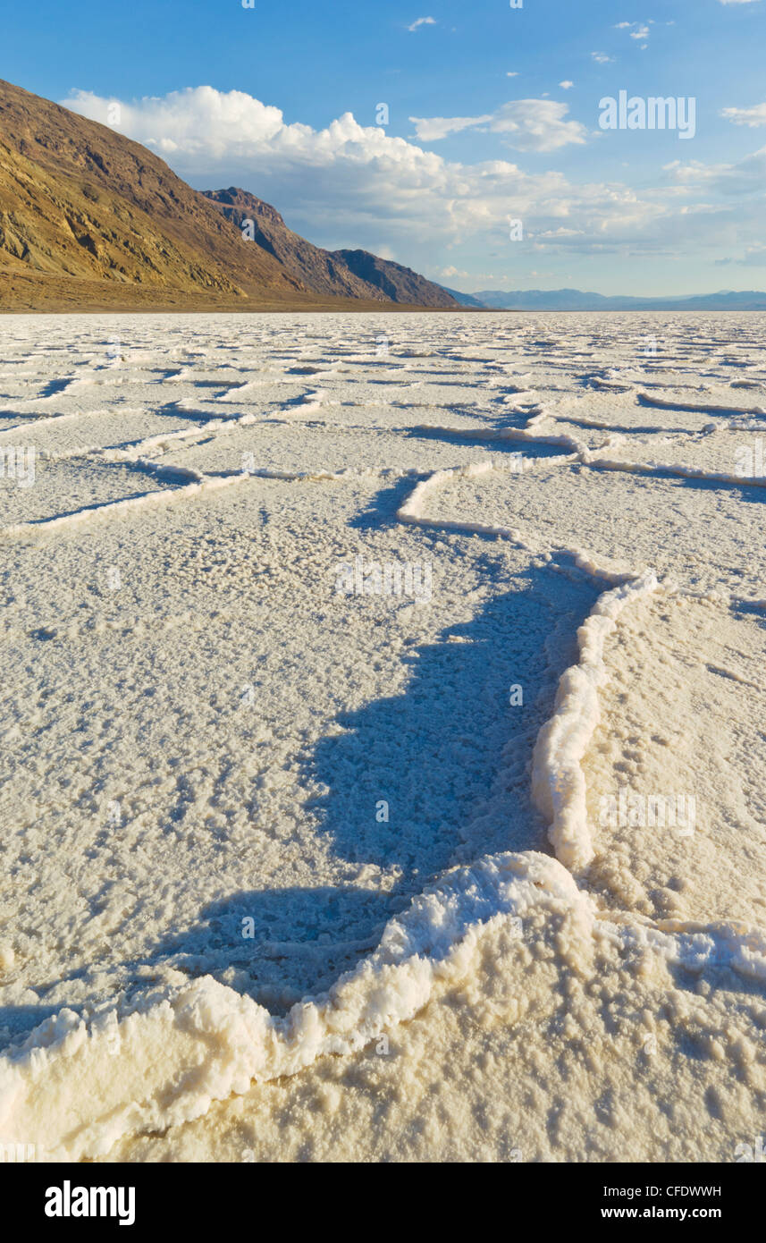 Salt pan polygons at Badwater Basin, Death Valley National Park, California, USA Stock Photo