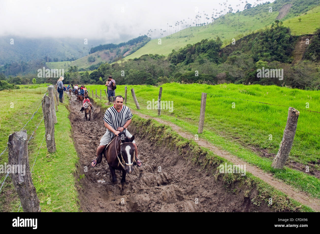 Horse riding in Cocora Valley, Salento, Colombia, South America Stock Photo