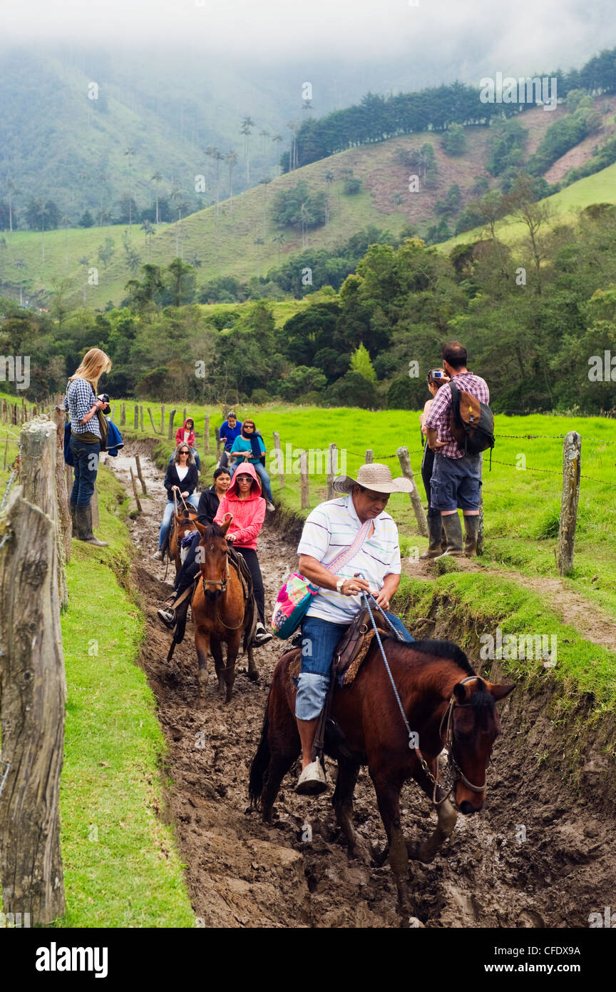 Horse riding in Cocora Valley, Salento, Colombia, South America Stock Photo