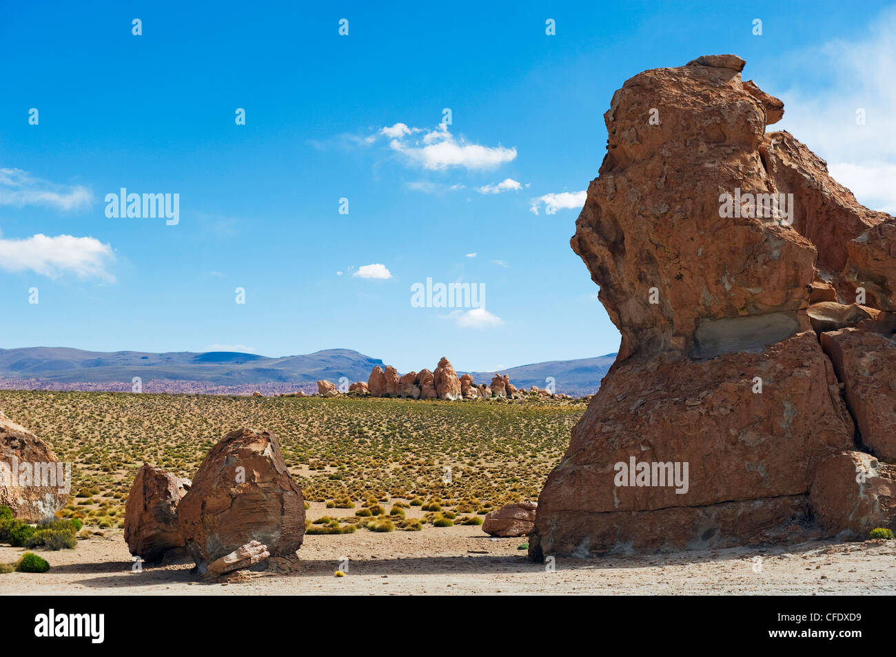 Altiplano hi-res stock photography and images - Alamy