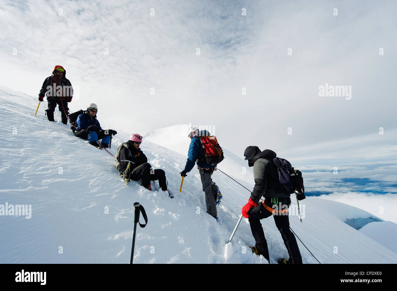Climbers on the glacier of Volcan Cotopaxi, 5897m, the highest active volcano in the world, Ecuador, South America Stock Photo