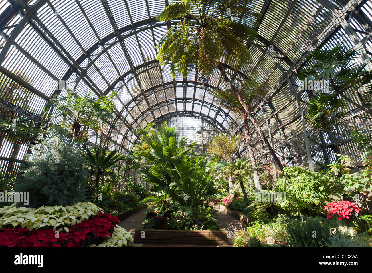 Botanical Building, Balboa Park, San Diego, California, United States ...