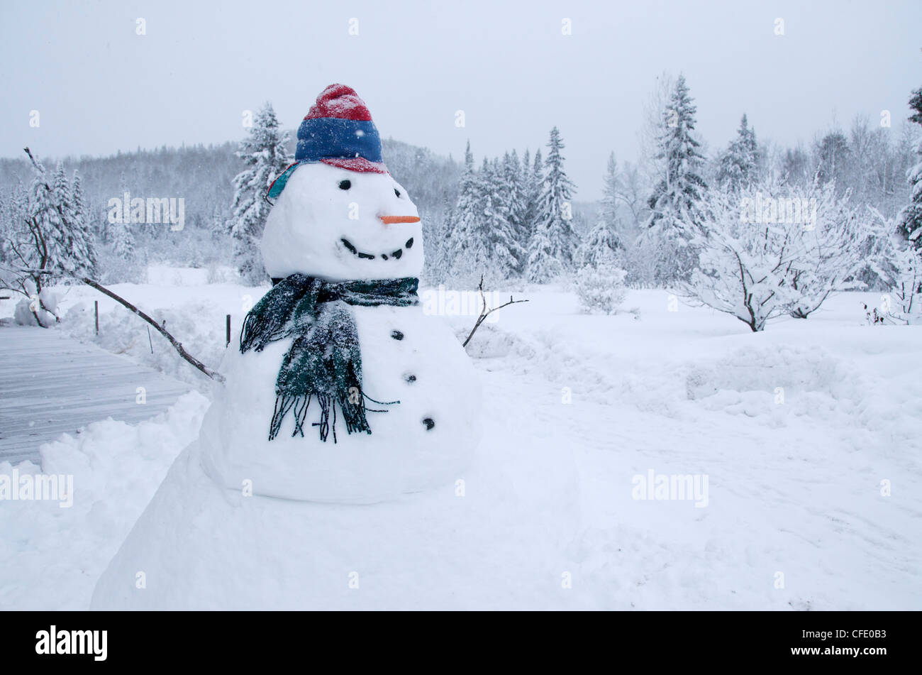 Snowman in front of winter forest. Northern Ontario, Canada. Model Released :-) Stock Photo