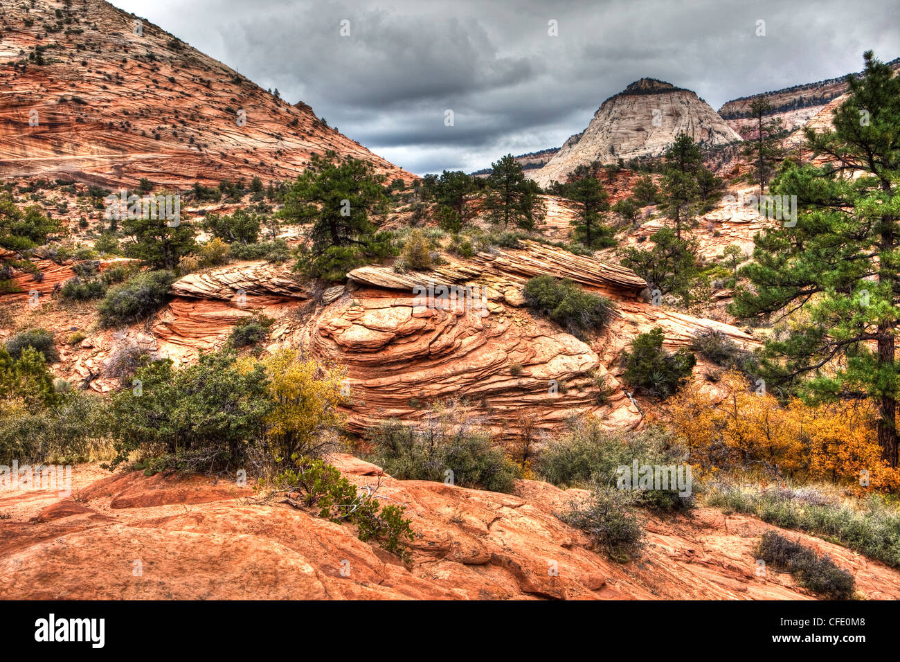 Along Zion Mt. Carmel Highway, Zion National Park, Utah, USA Stock Photo Alamy