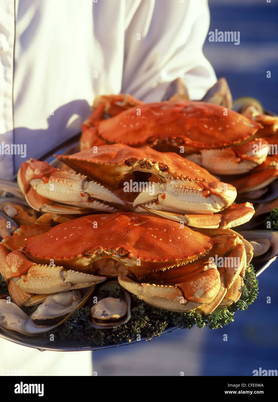 Crab feast on dock at Fairwinds Resort, Nanoose Bay, Vancouver Island