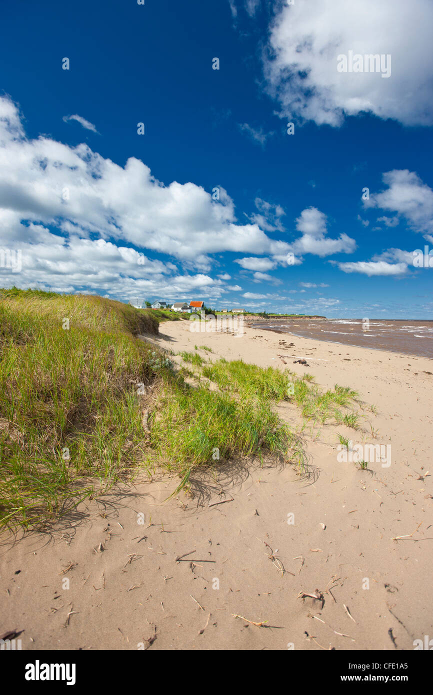 Beach, Wharf Road, Little Shemogue, Acadian Coast, New Brunswick