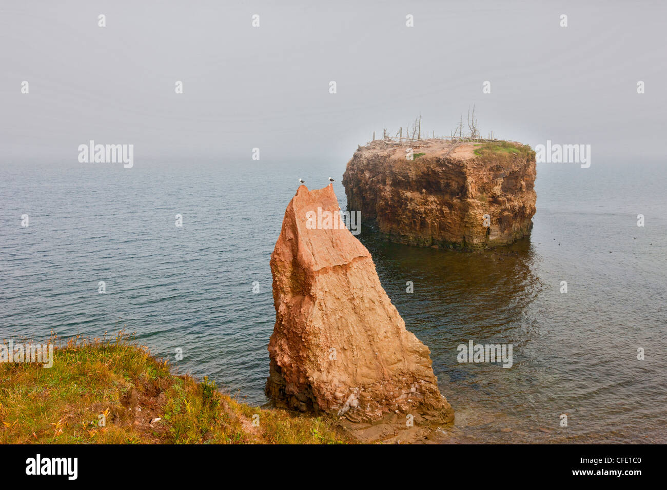 Pokeshaw Provincial Park, Chaleur Bay, New Brunswick, Canada Stock