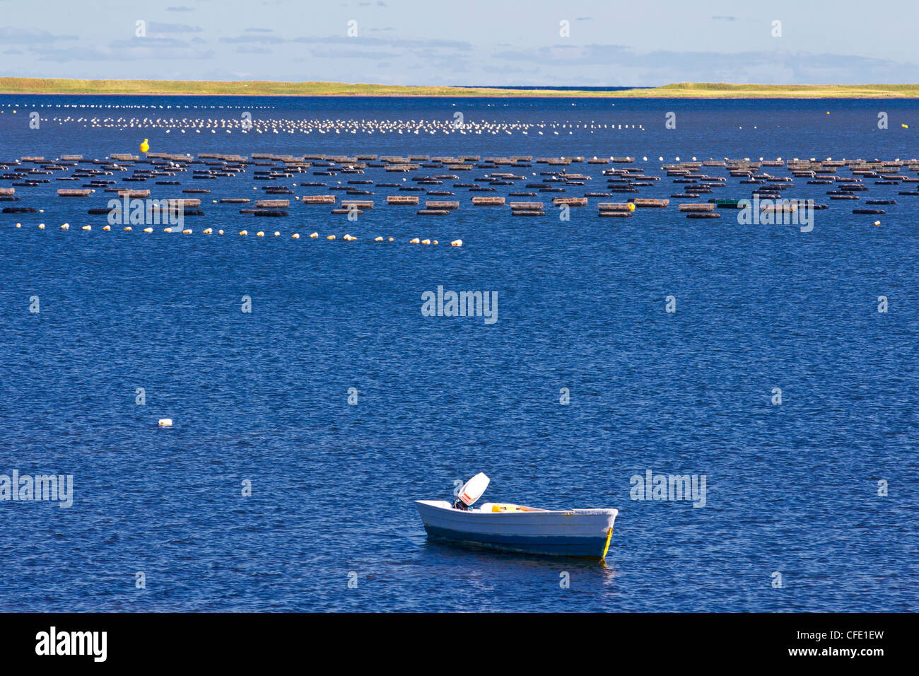 Aquaculture, Bouctouche, Kent County, Acadian Coast, New Brunswick, Canada Stock Photo