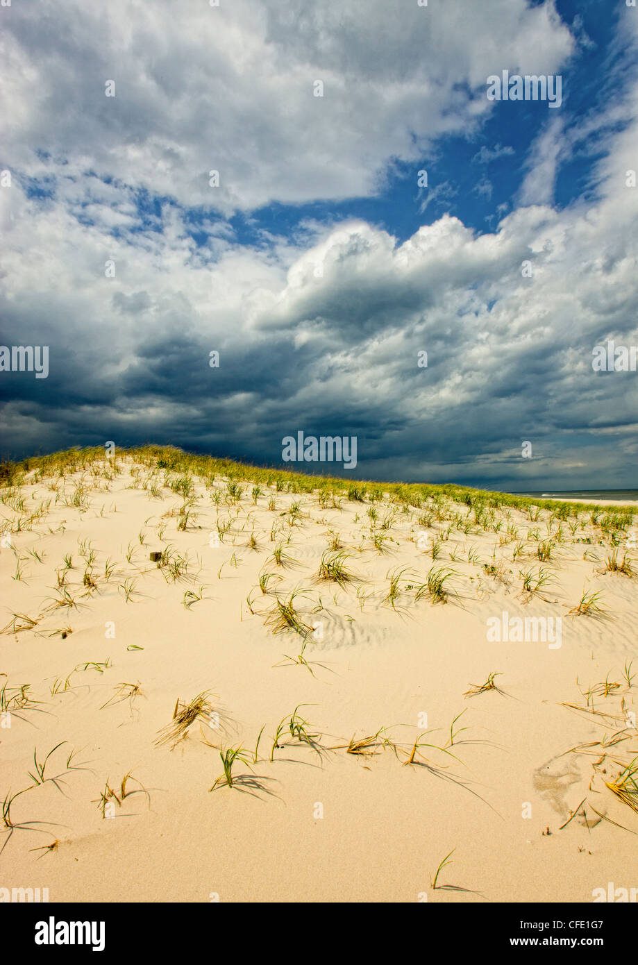 Island beach state park new jersey hi-res stock photography and images