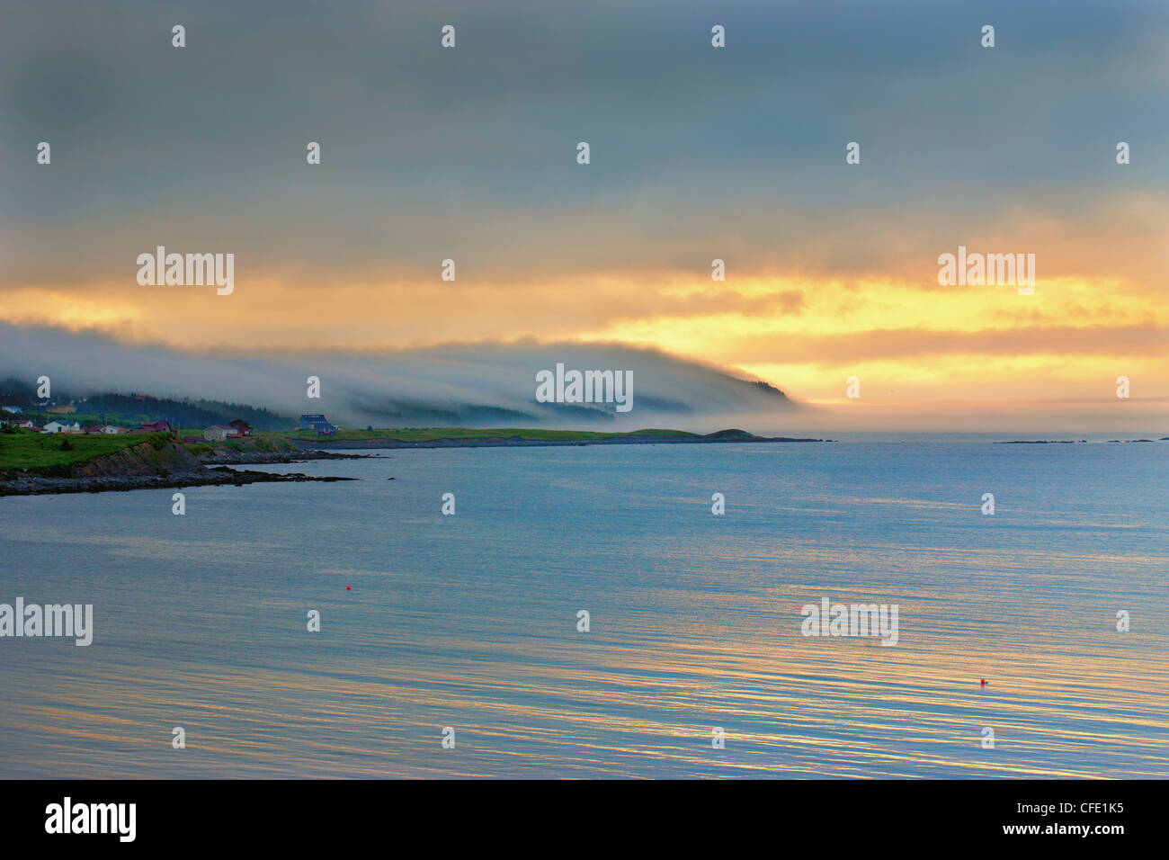 Fog covered coastline, Witless Bay, Newfoundland, Canada Stock Photo Alamy