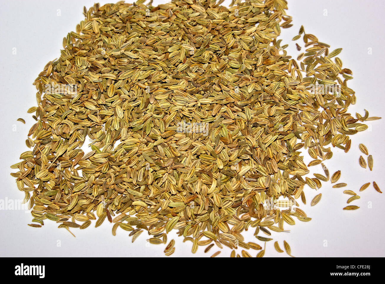 Fennel seed hires stock photography and images Alamy