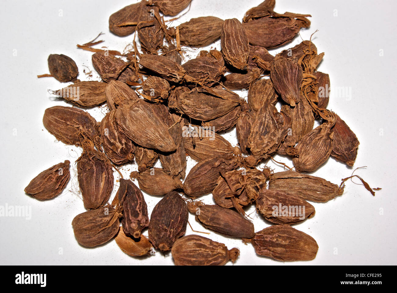 Dried black cardamom seed pods aromatic spice seasoning Amomum