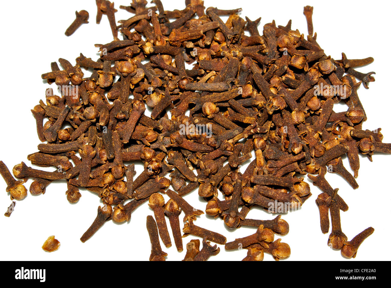 Whole dried clove spice dried flower buds Syzygium aromaticum Stock