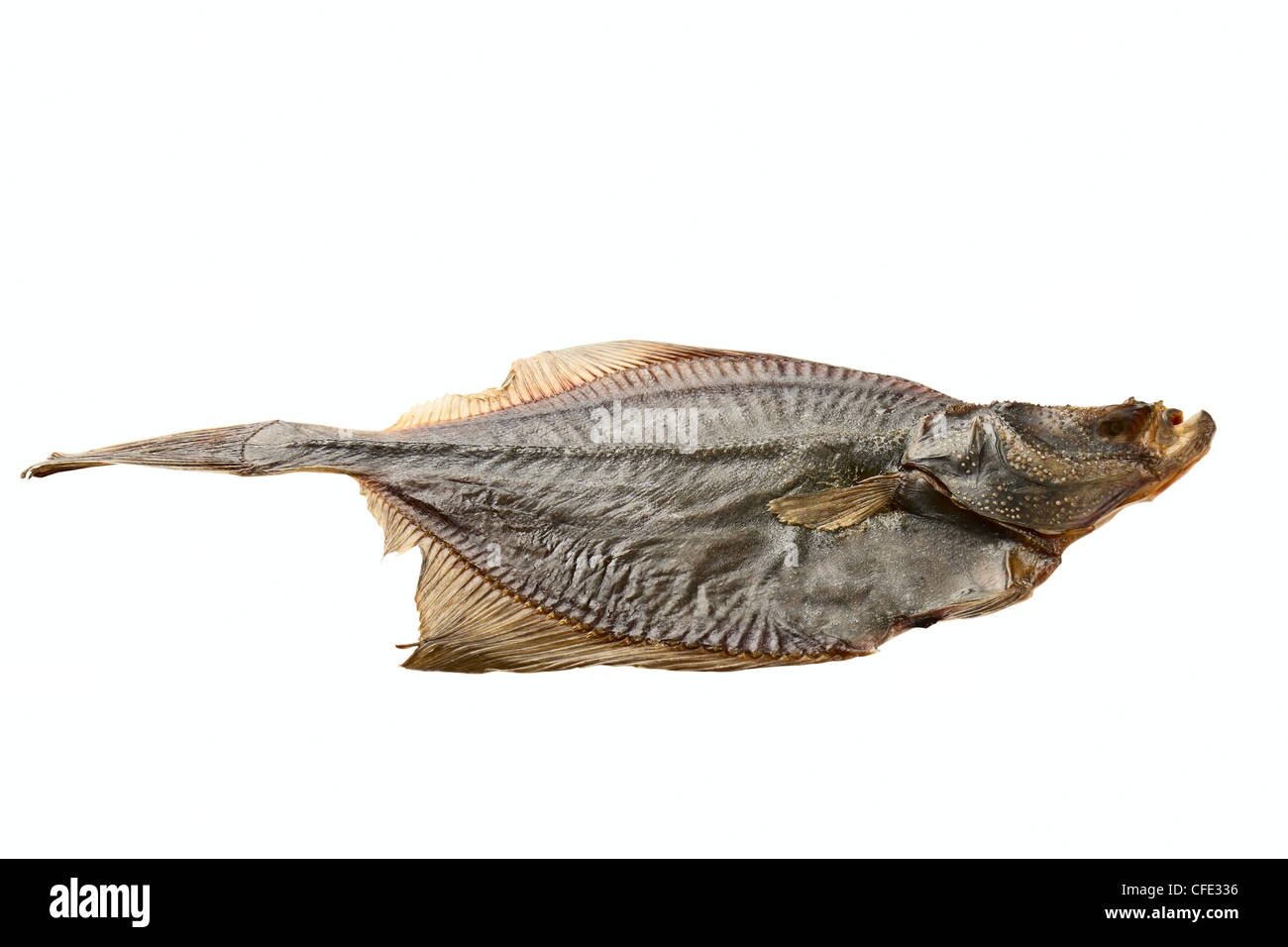 Dried fish isolated on a white background Stock Photo