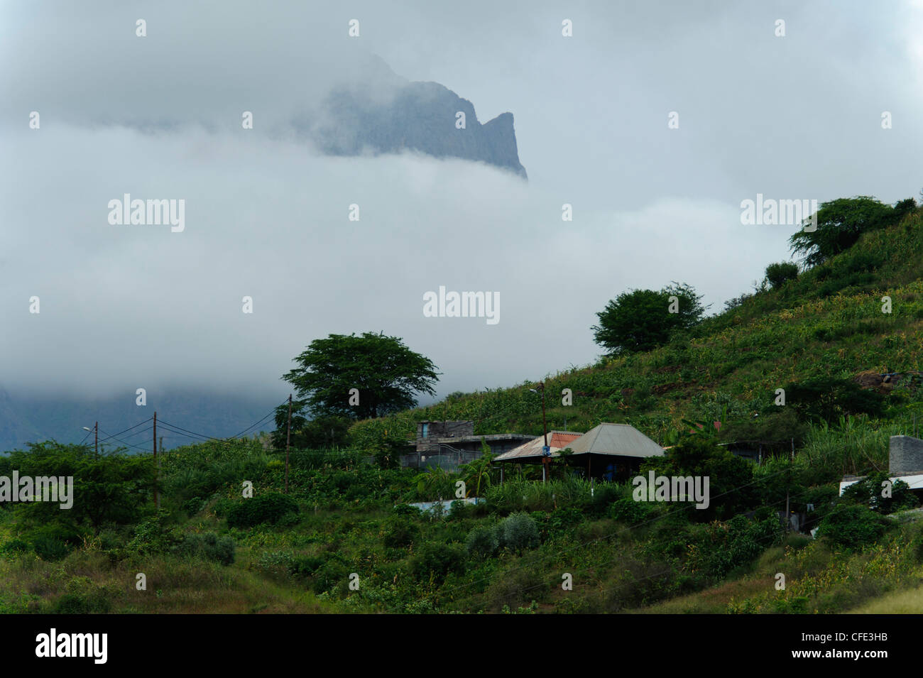 Pedra badejo hires stock photography and images Alamy