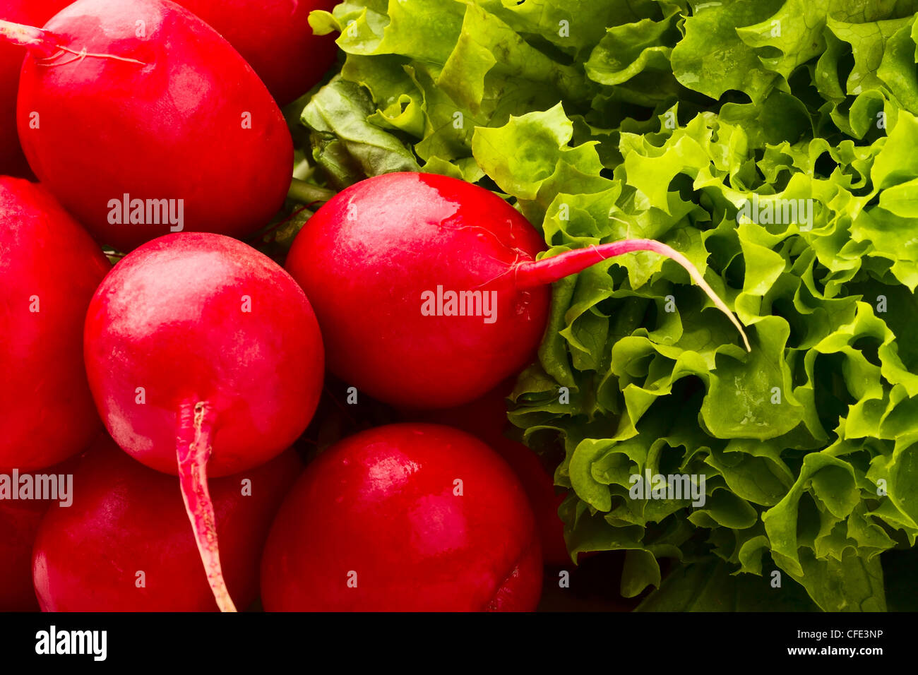background from red radish and salad lettuce Stock Photo - Alamy