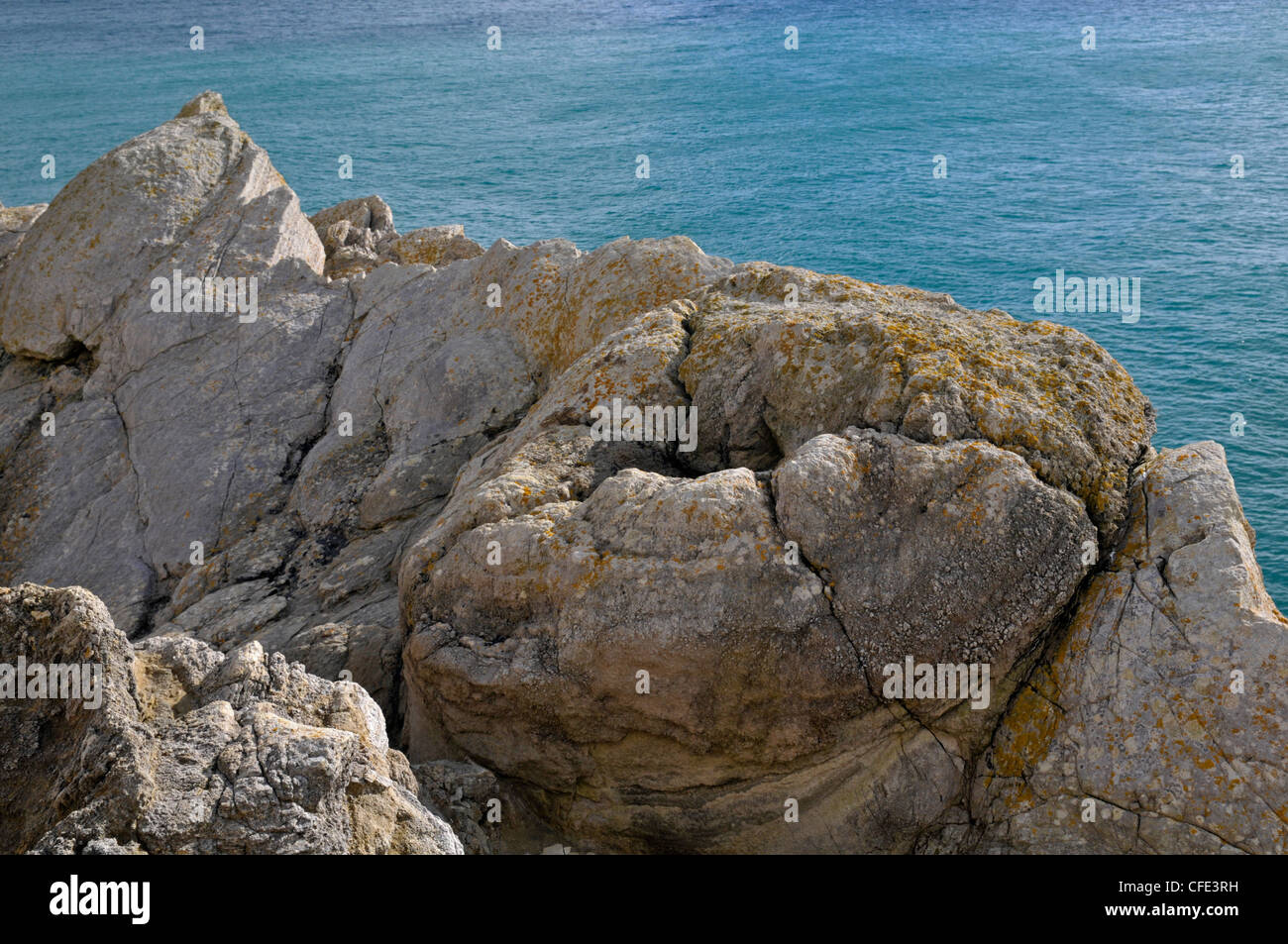 Fossil Forest Lulworth Cove Dorset England Stock Photo Alamy