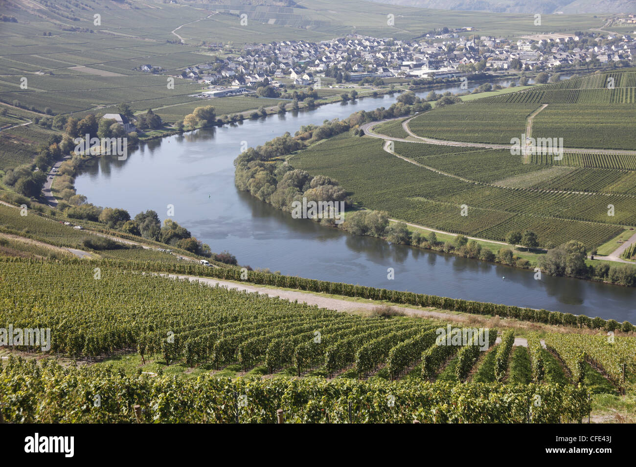 Mosel curve at Leiwen, Moselle, Mosel river, Rhineland-Palatinate, Germany, Europe Stock Photo