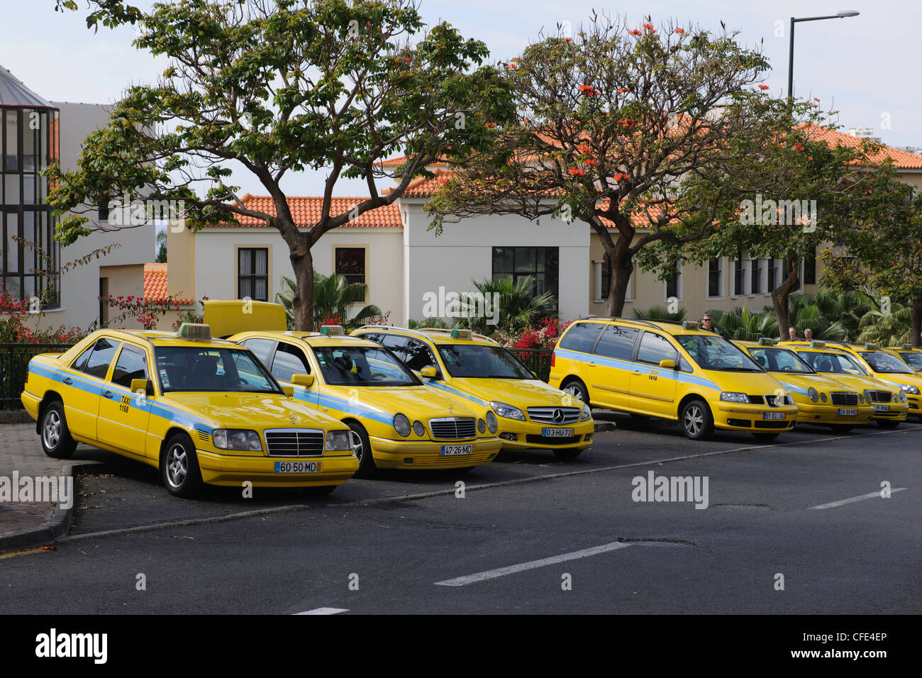 Distinctive yellow taxis Funchal Madeira Portugal Stock Photo