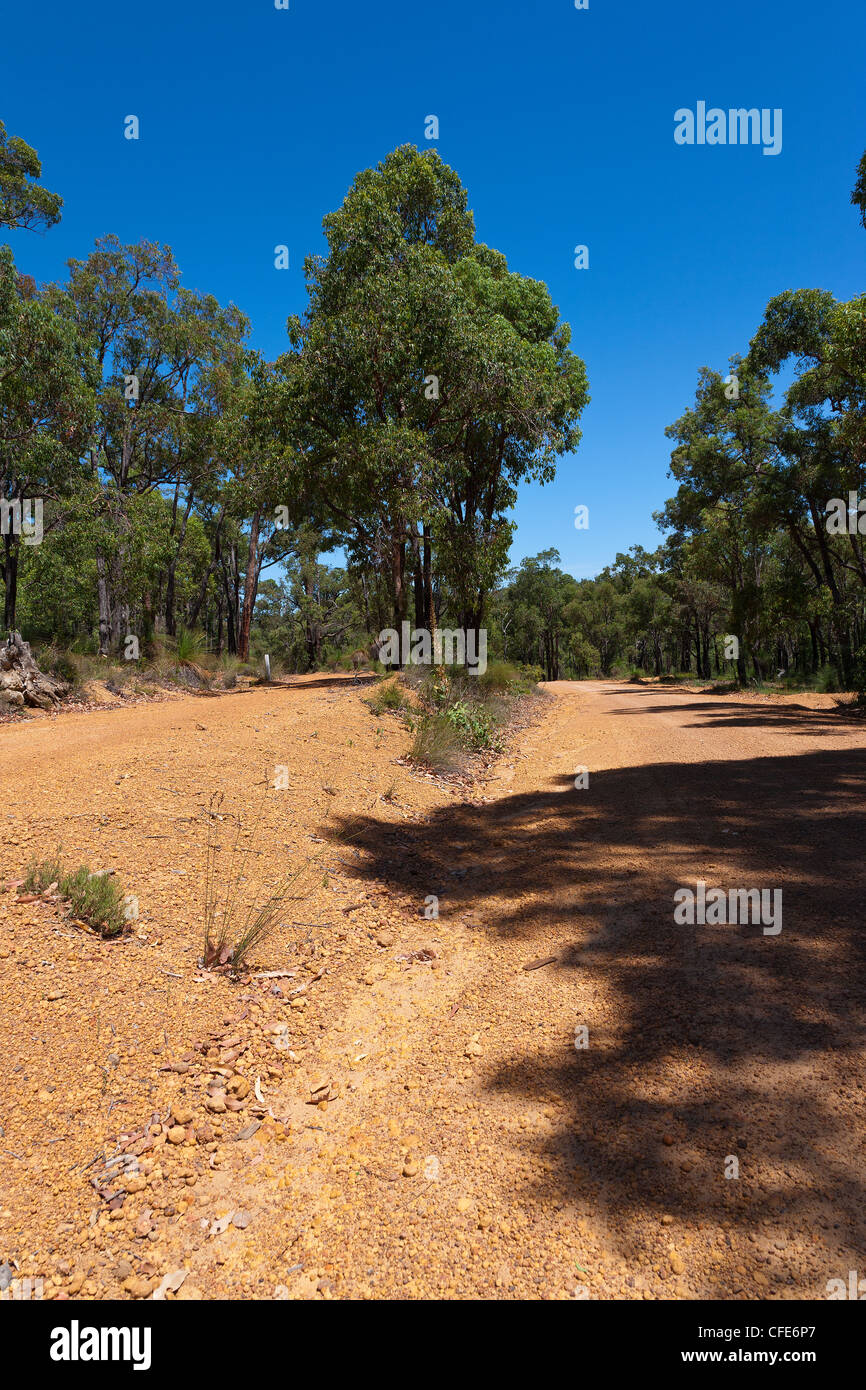 Isolated Dirt Road in Bush Western Australia Stock Photo