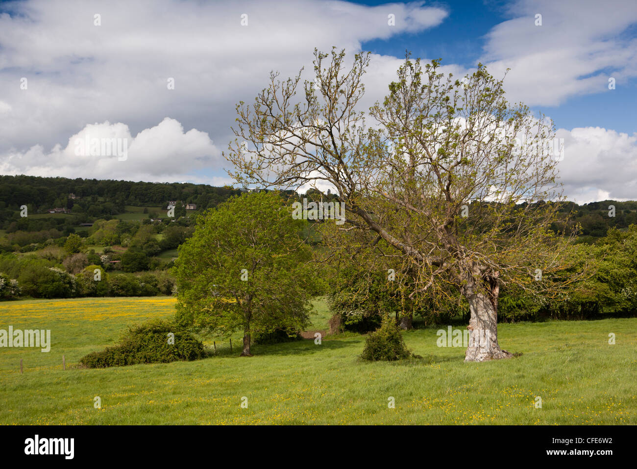 Cotswold way painswick hires stock photography and images Alamy