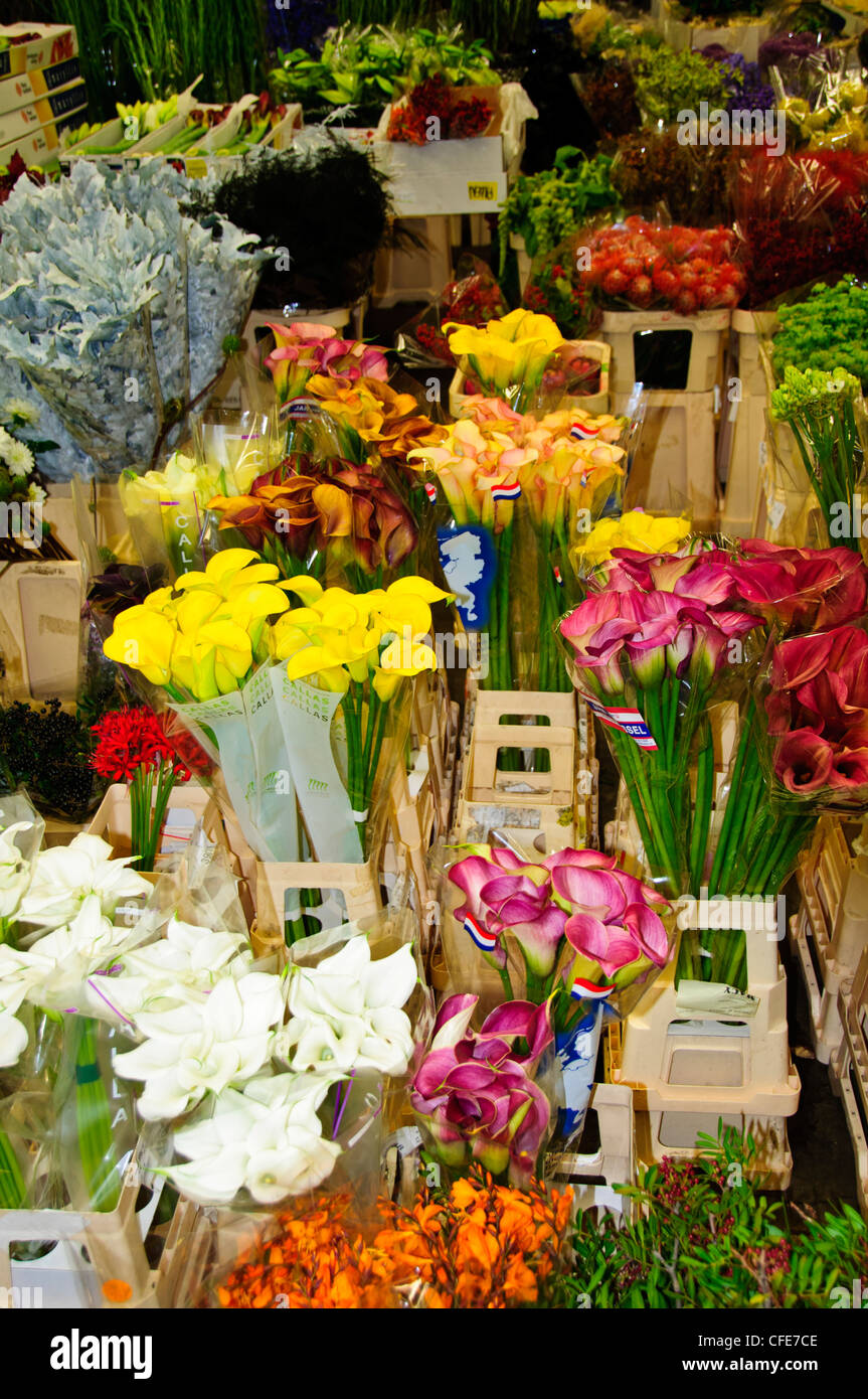 New Covent Garden Market,Wholesale Market, Displays of Fruit,Flowers