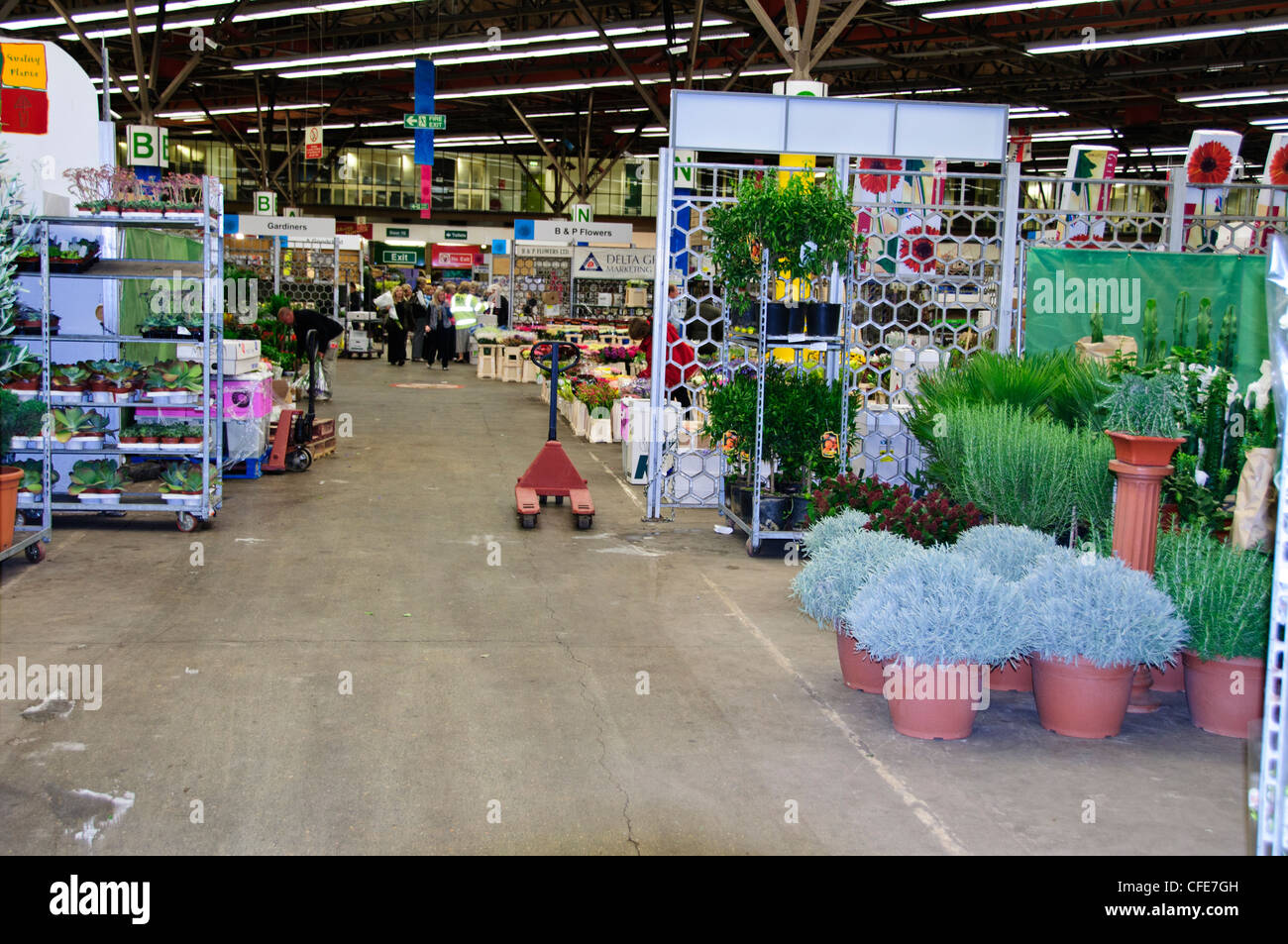 New Covent Garden Market,Wholesale Market, Displays of Fruit,Flowers