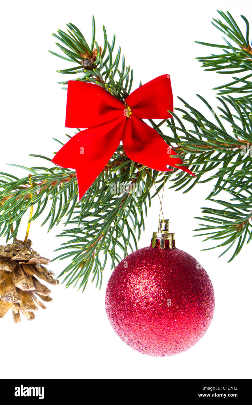 red christmas tree ball hanging from spruce isolated on white ...