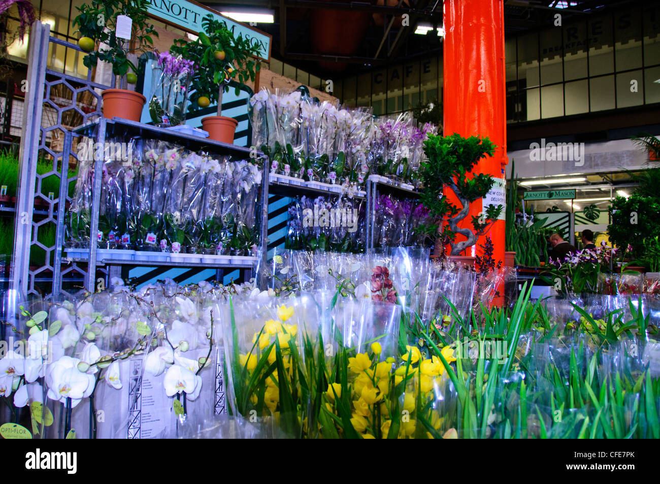 New Covent Garden Market,Wholesale Market, Displays of Fruit,Flowers,Vegetables, Interior Dry Flower Decorations,SW London Stock Photo