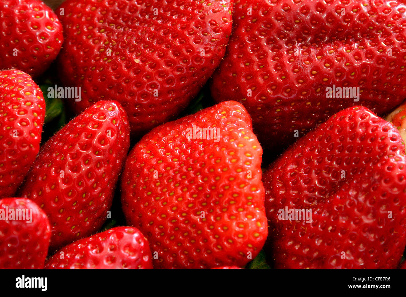 A close up of fresh red strawberry Stock Photo - Alamy