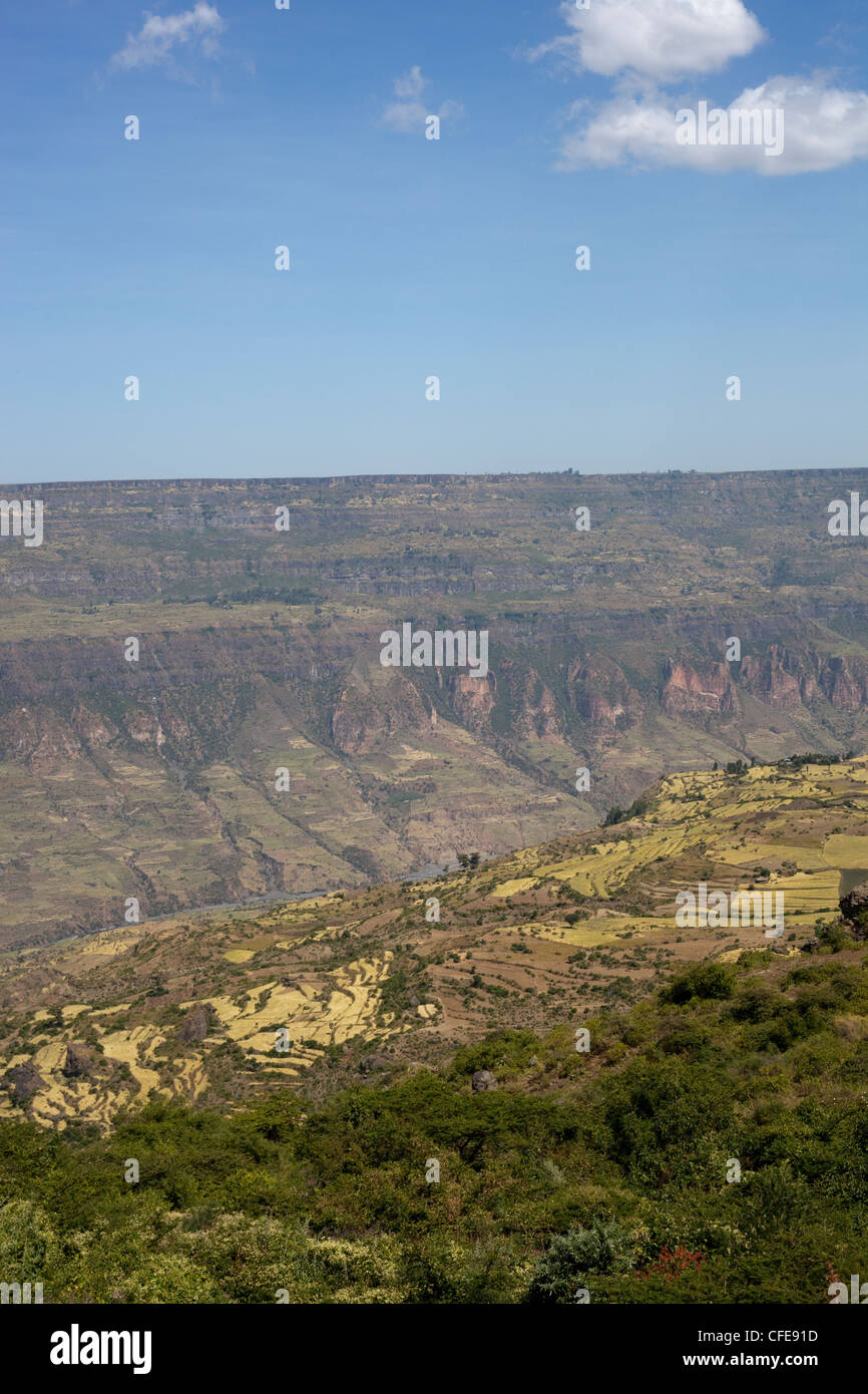 Debre Libanos Gorge. Ethiopia. Note terracing on lower sides of valley. Stock Photo