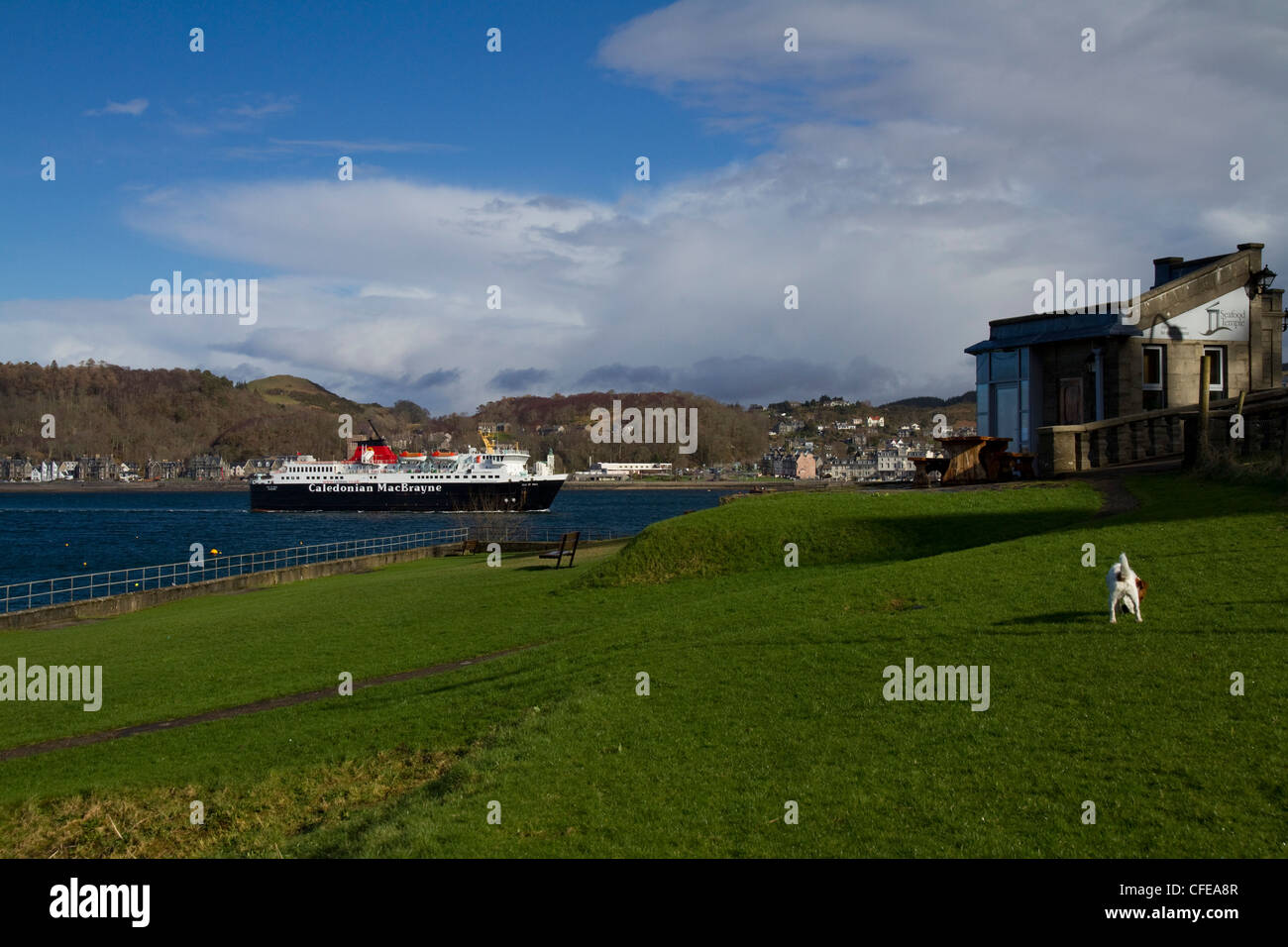 A passenger ferry in Oban, West Coast of Scotland, from Dungallan Park with the Seafood Temple restaurant in the foreground Stock Photo