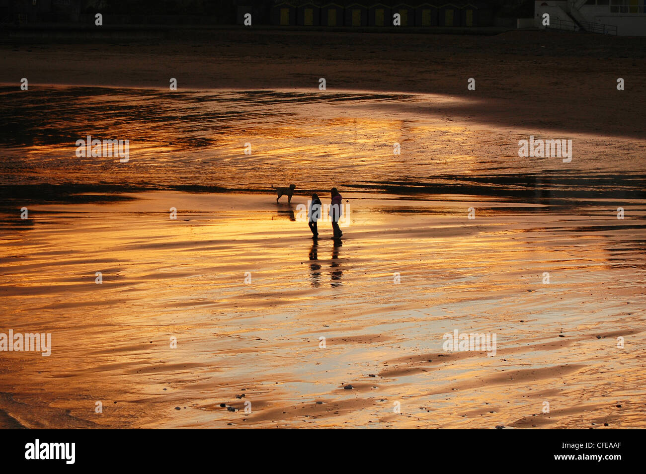 Sunset on beach Stock Photo - Alamy