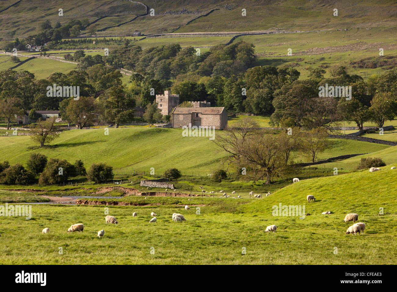 UK, England, Yorkshire, Wensleydale, Nappa Hall, fortified Manor House, ancestral home of the Metcalf Family Stock Photo