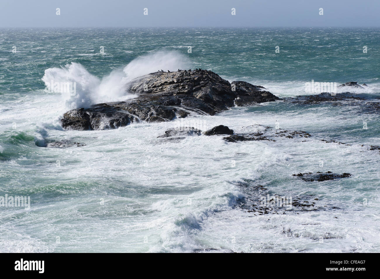 Seals sitting on a rock in the spray of a crashing wave at  Diaz Point near Luderitz, Namibia. Stock Photo