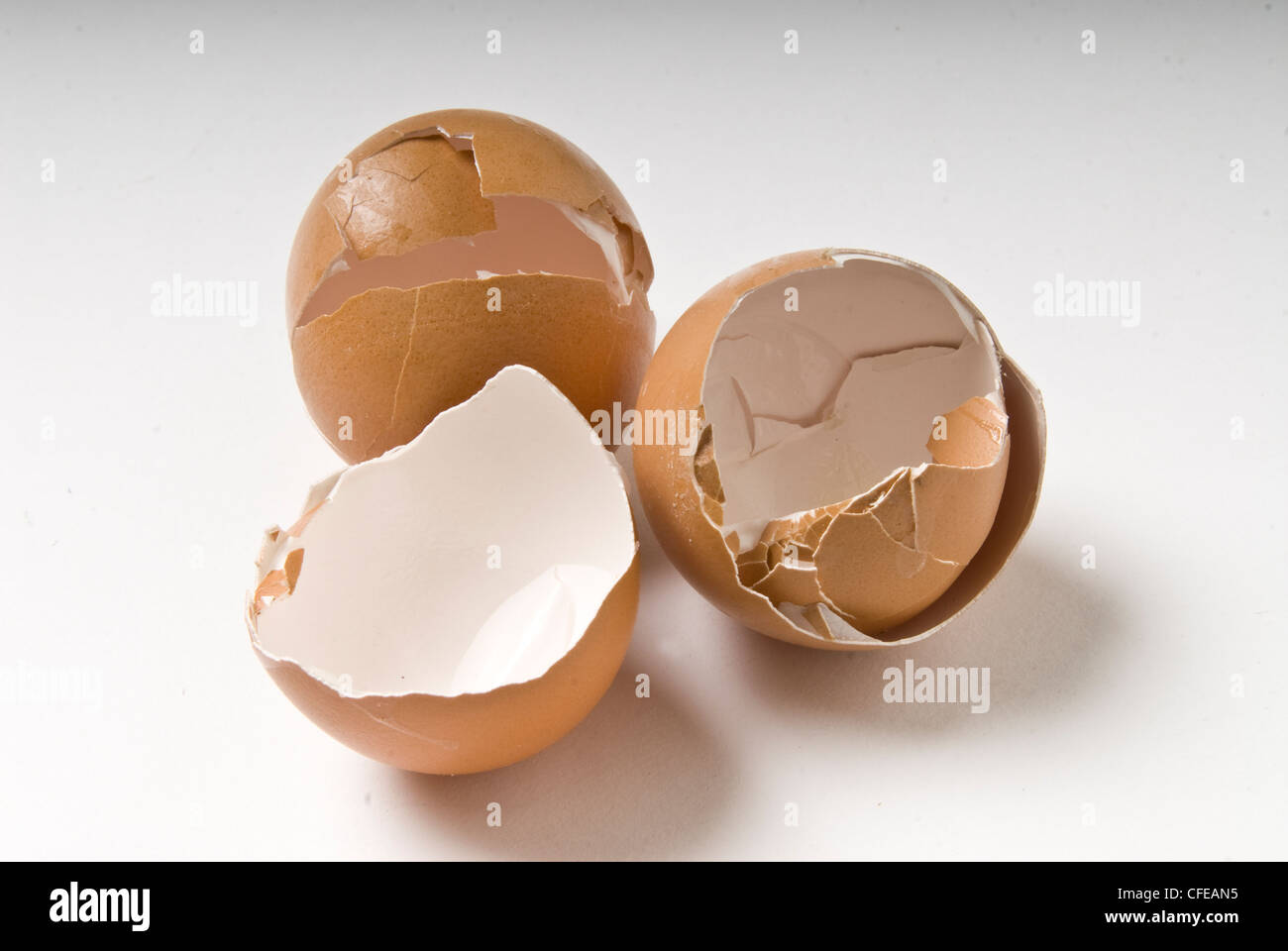 Three brown, broken eggshells. Studio shot on white backdrop , Stock Photo