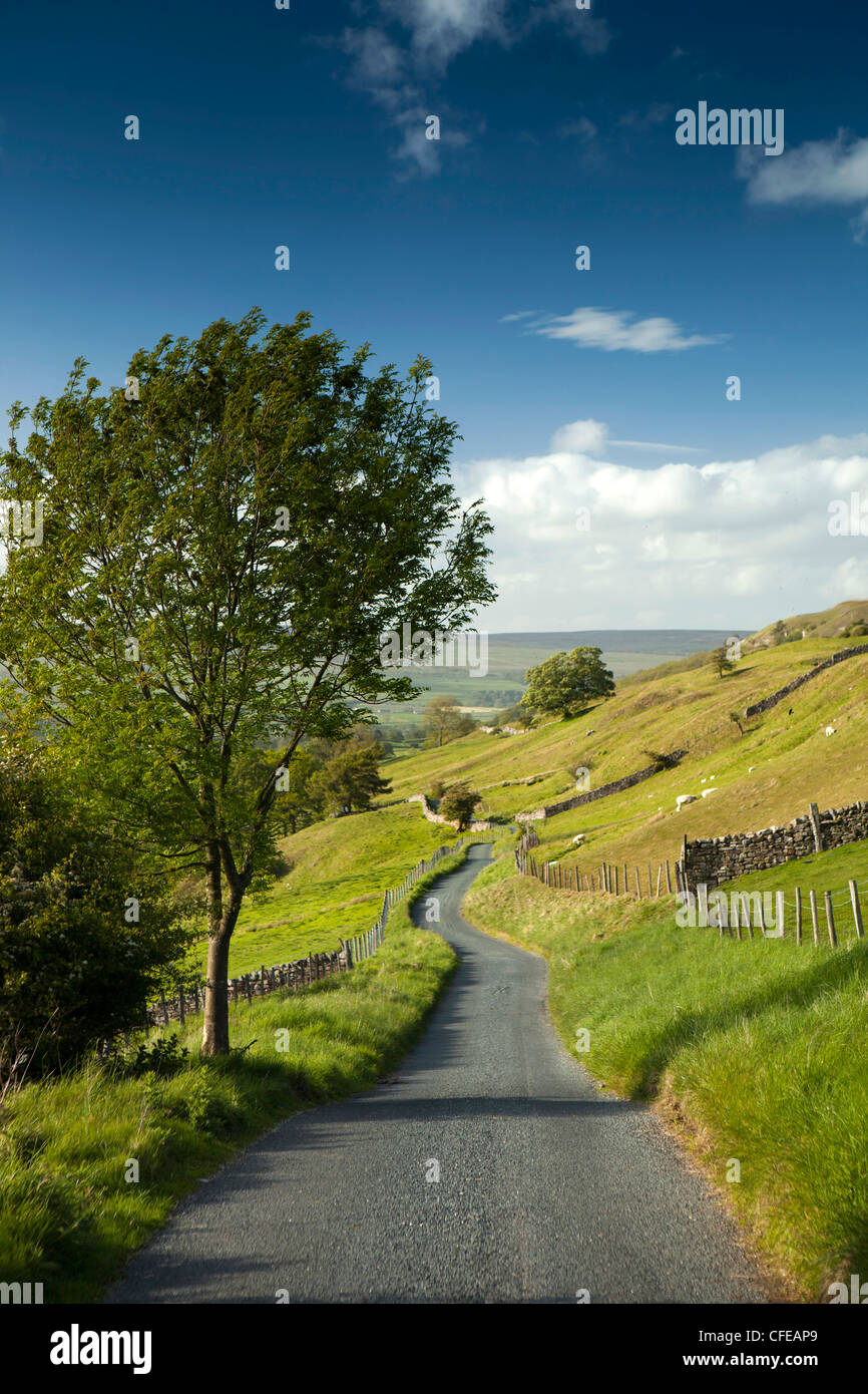 UK, England, Yorkshire, Wensleydale, West Burton, narrow lane leading to Carlton Moor beside Walden Beck Stock Photo