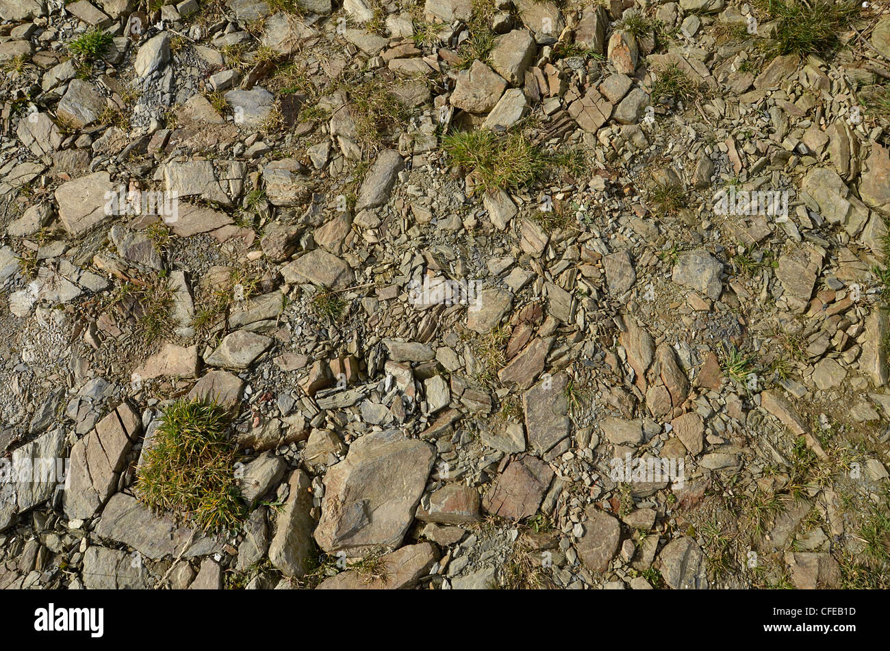 Detail of compacted stone farm trackway. Concept 'fall on stony ground', warnings or advice ignored. etc. Stock Photo