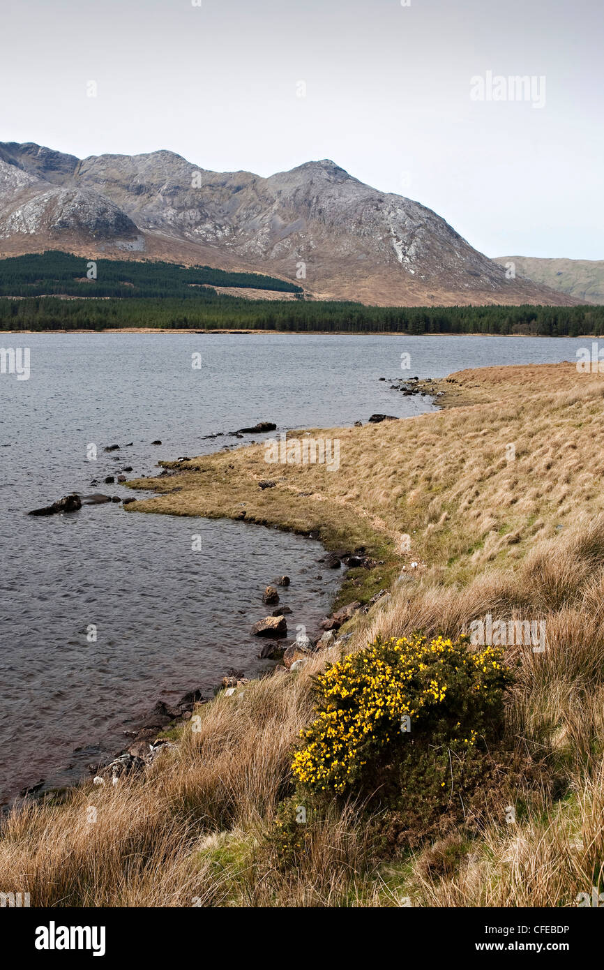 Lough Inagh, Connacht, Galway, Ireland Stock Photo Alamy