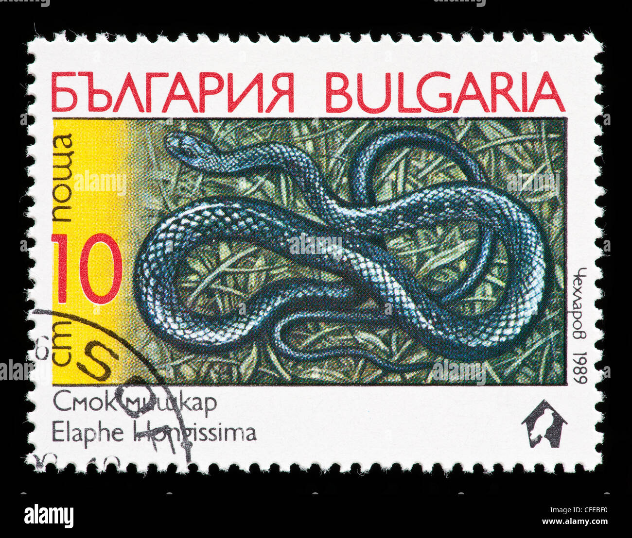 Postage stamp from Bulgaria depicting an Aesculapian snake (now Zamenis longissimus, previously Elaphe longissima) Stock Photo