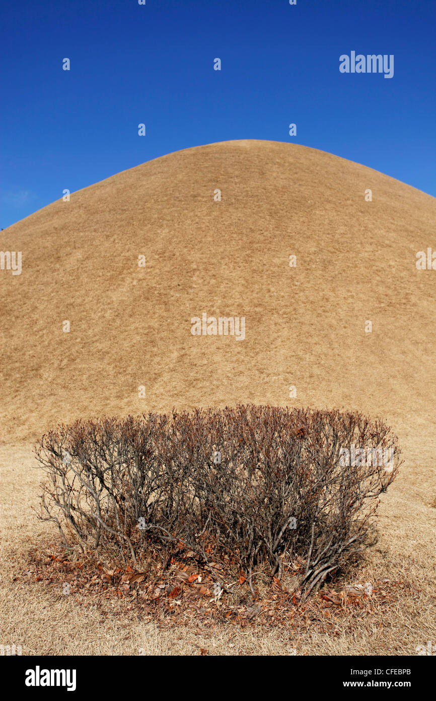 Daerungwon Royal burial mound tombs and tumuli with silhouette of