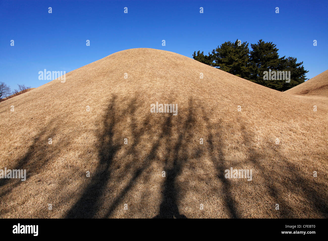 Daerungwon Royal burial mound tombs and tumuli with silhouette of