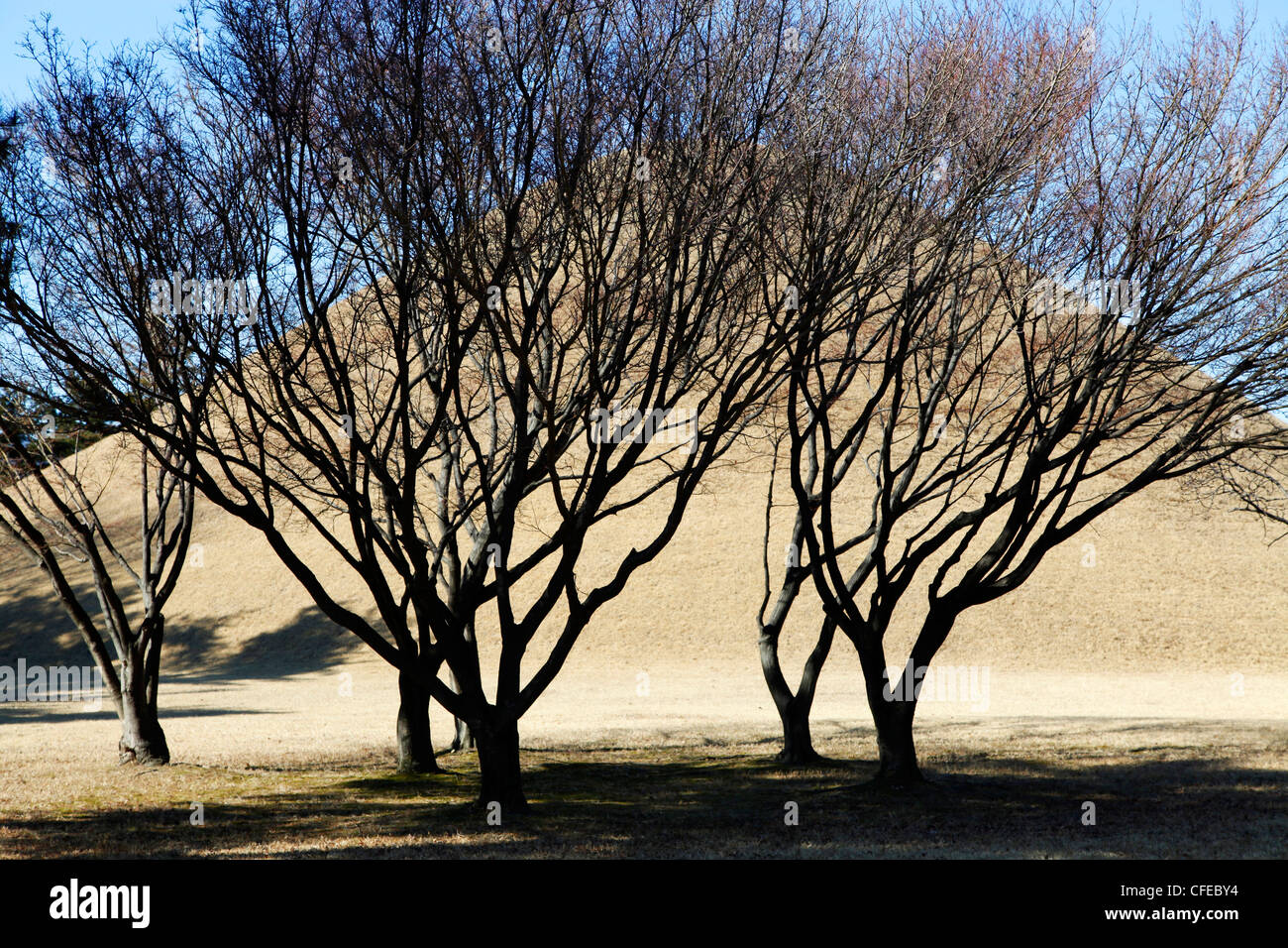 Daerungwon Royal burial mound tombs and tumuli with silhouette of