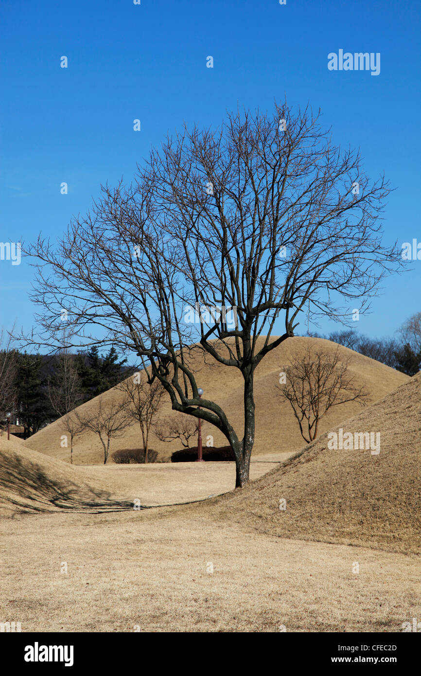 Daerungwon Royal burial mound tombs and tumuli with silhouette of