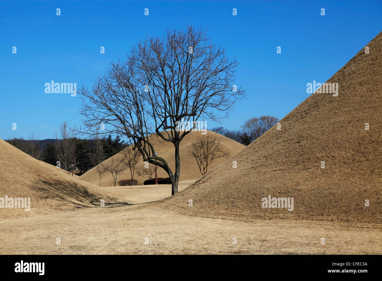 Daerungwon Royal burial mound tombs and tumuli with silhouette of