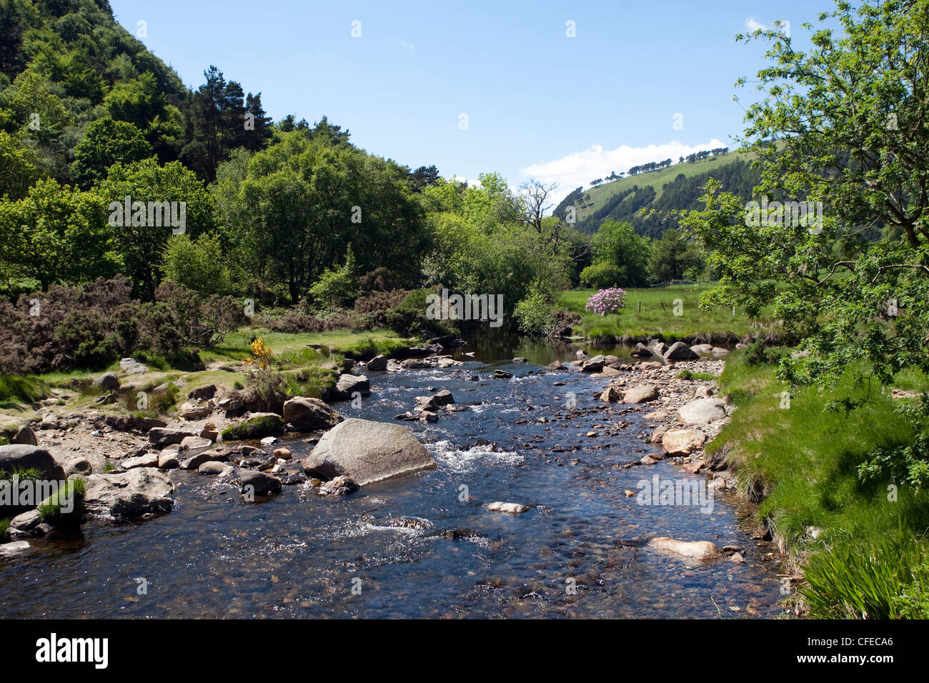 Southern ireland stream river hi-res stock photography and images